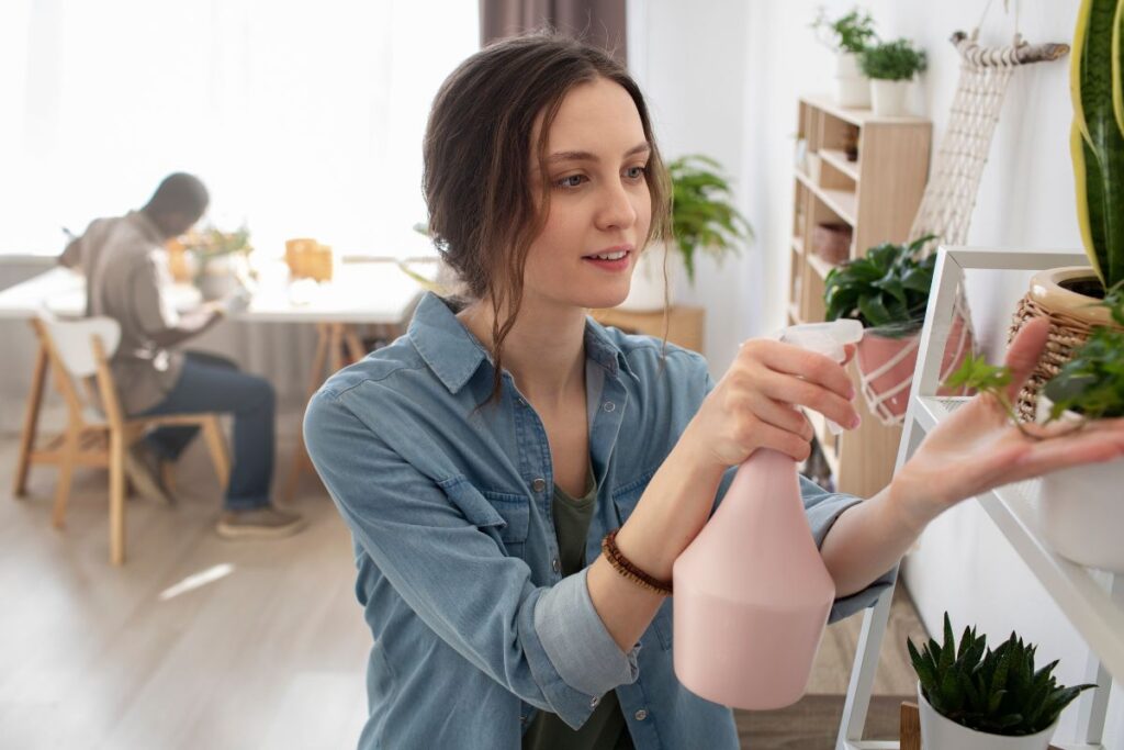 truques naturais para proteger sua casa